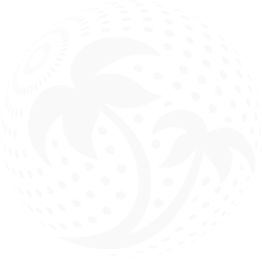 Palms Logo Outline